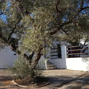 Guest house Gateway To The Alpujarras, 'cortijo Derry', Orgiva