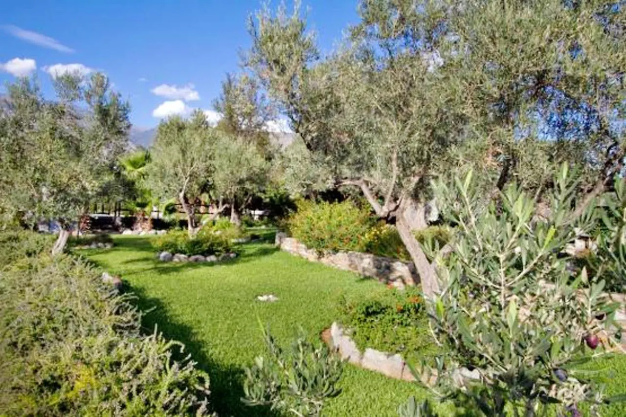 Spacious Villa With Pool - Orgiva - Mountain View